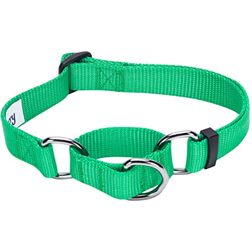 Blueberry Pet Essentials Martingale Safety Training Dog Collar, Emerald, X-Small, Heavy Duty Nylon Adjustable Collars for Dogs