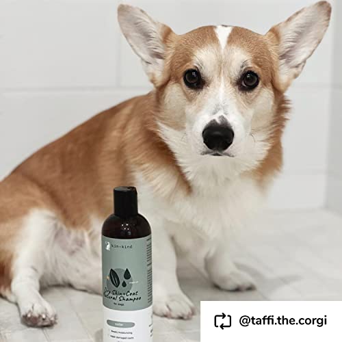 kin+kind Natural Dog Shampoo for Dry Skin (12 fl oz) - Repair Coat Damage, Ease Itchy Irritation - Safe, Natural Formula with Olive Oil, Coconut Oil and Cedarwood - Made in USA