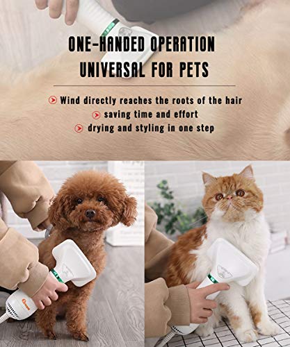 Pet Hair Dryer, Pet Hair Dryer Comb,Pet Grooming Hair Dryer with Comb, Adjustable Temperature and Low Noise, 2 in 1 Portable Home Pet Care for Dogs and Cats