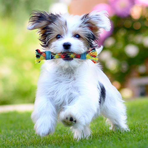 rocket & rex Dog Rope Toys | Puppy Rope Toy and Rope Toys for Small Dogs | 4 Piece Rope Toy Set with Rubber and Crackle for Added Chewing Fun | for Small Breeds and Puppies