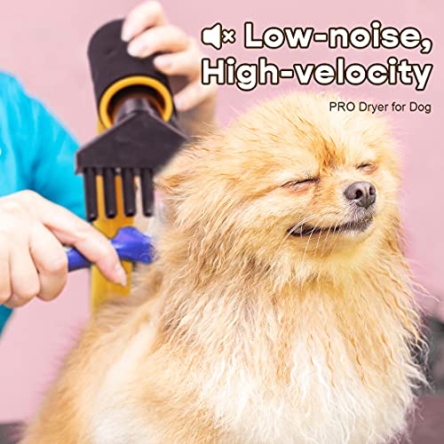Free Paws Dog Dryer 4.0 HP 2 Speed Adjustable Heat Temperature Pet Dog Grooming Hair Dryer Blower Professional with 5 Different Nozzles and a Shower Massage Glove (Black)