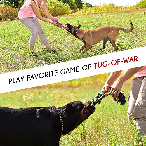 Dog Toys for Aggressive Chewers - Large Dog Toys - 3 Nearly Indestructible Chewing Ropes - Durable Heavy Duty Dental Chew Toys for Big Dogs - Dog Rope Chew Toys - Tug of War Dog Toy - Tough Dog Toys