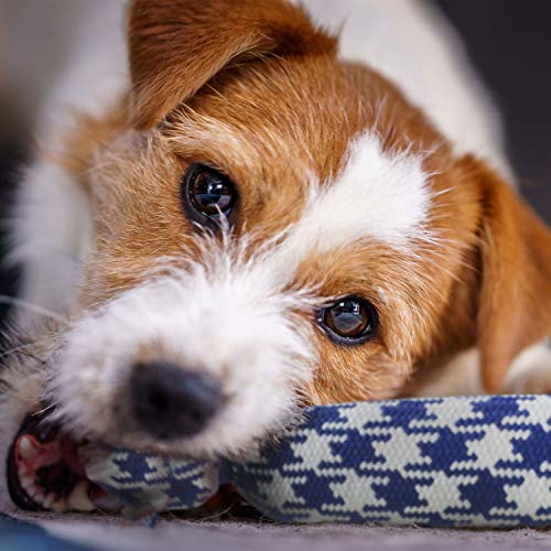 rocket & rex Dog Rope Toys | Puppy Rope Toy and Rope Toys for Small Dogs | 4 Piece Rope Toy Set with Rubber and Crackle for Added Chewing Fun | for Small Breeds and Puppies