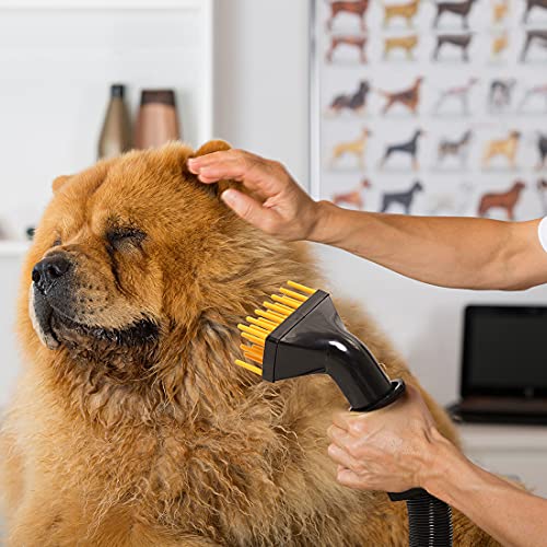 Free Paws Dog Dryer 4.0 HP 2 Speed Adjustable Heat Temperature Pet Dog Grooming Hair Dryer Blower Professional with 5 Different Nozzles and a Shower Massage Glove (Black)