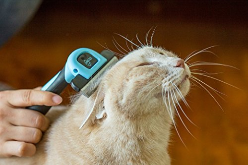 Chirpy Pets Dog & Cat Brush for Shedding, Best Long & Short Hair Pet Grooming Tool, Reduces Dogs and Cats Shedding Hair by More Than 90%, The Deshedding Tool