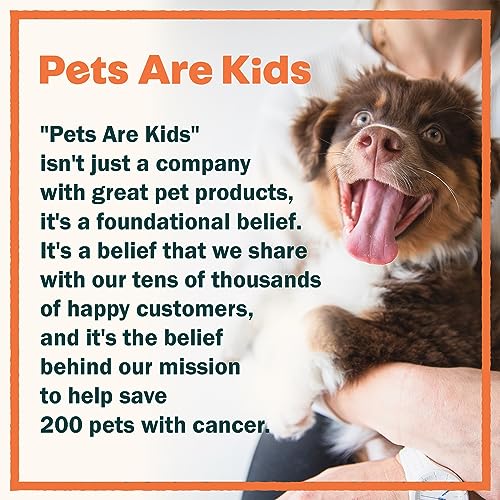 Pet Oatmeal Anti-Itch Shampoo & Conditioner In One! Smelly Puppy Dog & Cat Wash, Natural Ingredients & Hypoallergenic! Relief For Allergies, Itchy, Dry, Irritated Skin!! Smells Amazing! (1 btl)