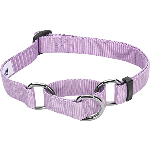 Blueberry Pet Essentials Martingale Safety Training Dog Collar, Lavender, Medium, Heavy Duty Nylon Adjustable Collars for Dogs