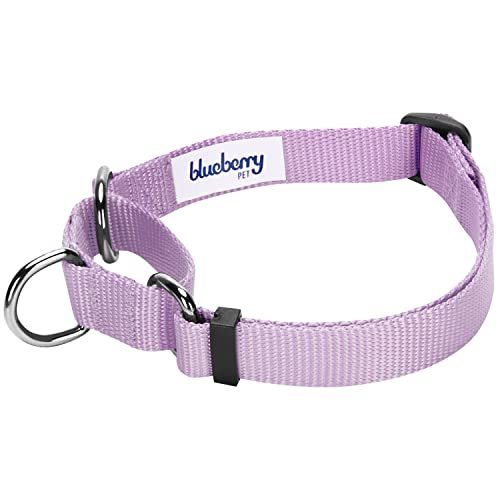 Blueberry Pet Essentials Martingale Safety Training Dog Collar, Lavender, Medium, Heavy Duty Nylon Adjustable Collars for Dogs