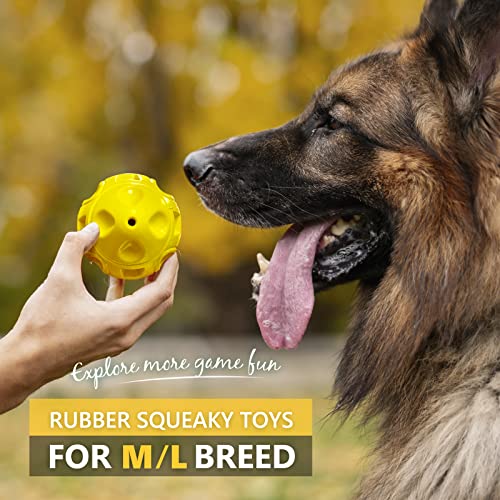 EASTBLUE Squeaky Dog Toys forÂ AggressiveÂ Chewers: Rubber Puppy Chew Ball with Squeaker, Almost Indestructible and Durable Pet Toy for Medium and Large Breed