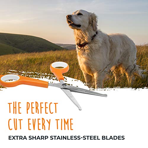 Mighty Paw Dog Grooming Scissors (2 Pack) | Professional Ergonomic Pet Grooming Scissors with Rounded Safety Tips & 2mm Sharp Stainless Steel Blades. for Body, Paw and Face Hair Trimming (Orange)