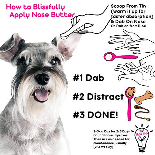 The Blissful Dog Schnauzer Nose Butter - Dog Nose Butter, 4 Ounce