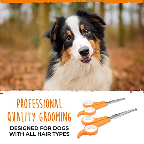 Mighty Paw Dog Grooming Scissors (2 Pack) | Professional Ergonomic Pet Grooming Scissors with Rounded Safety Tips & 2mm Sharp Stainless Steel Blades. for Body, Paw and Face Hair Trimming (Orange)