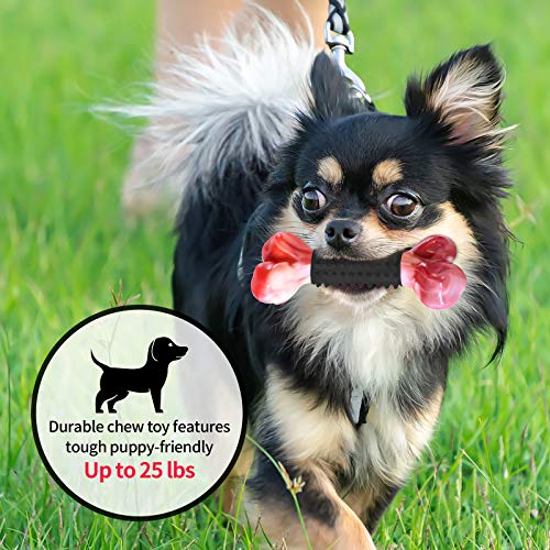 Dog Toy Aggressive Chewers Small Breed, Apasiri Small Dog Chew Toys for Teething Small Chewers, Dog Interactive Toys for Small Dogs Enrichment Toys Small Dogs Boredom Toys Dogs Chew Toy Birthday Gift