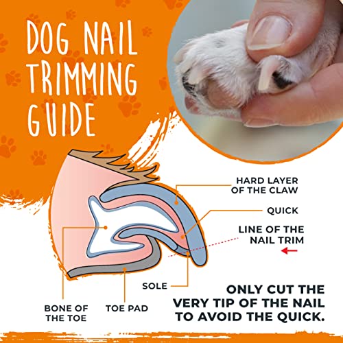 Mighty Paw Dog Nail Clippers | Pet Nail Trimmers & Nail File Set Includes a Built-in Safety Guard to Avoid Cutting Too Short. Stainless Steel Blade & Ergonomic Handle. Vet Recommended. (Orange)