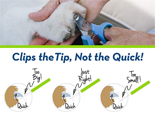 Zen Clipper Dog Nail Clippers for Dogs Between 25-50 Pounds â The Worry-Free Grooming Nail Clippers, Avoid Painful Overcutting â Stress, Injury-Free Nail Cutting â 4mm Hole