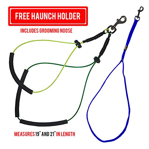 Foldable Pet Grooming Arm with Clamp, Dog Grooming Loop and No Sit Haunch Holder - Innovative Portable Grooming Arms (Black, 1 Haunch)