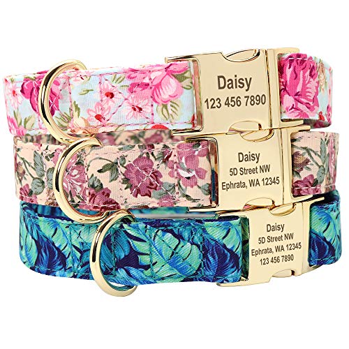 Beirui Soft Floral ID Dog Collars with Name Plate,Beautiful Flower Print Personalized Puppy Dog Collar and Leash Set for Small Medium Large Dogs (L:Neck 14-23.5ââ & 5FT Leash, Pastel Blue)