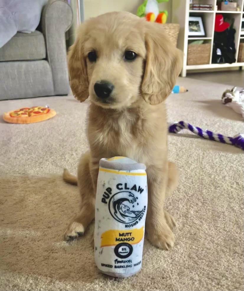 White Paw Dog Toys - Funny Cute Plush Dog Toys with Squeaker - Parody Dog Toy (2 Pack)