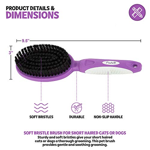 Soft Bristle Dog Brush for Short Haired Cats Or Dogs - Firm Bristles to Remove Dust, Dirt, and Loose Fur - Hook and Rubber Handle