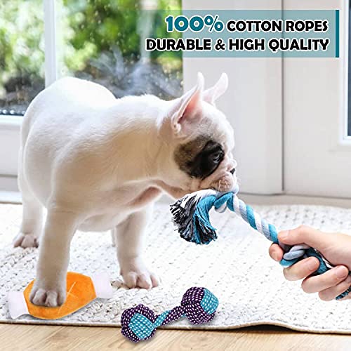 BUIBIIU Dog Toys, Dog Teething Toys Best Puppy Chew Toys Dog Chew Toys Squeaky Toys Balls