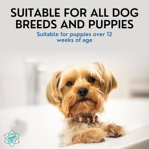 PET CARE Sciences Dog Shampoo, Naturally Derived Dog and Puppy Shampoo and Conditioner, 5 in 1 Formula with Coconut, Aloe and Oatmeal, Tear Free Dog Shampoo for Sensitive Skin, Made in The USA