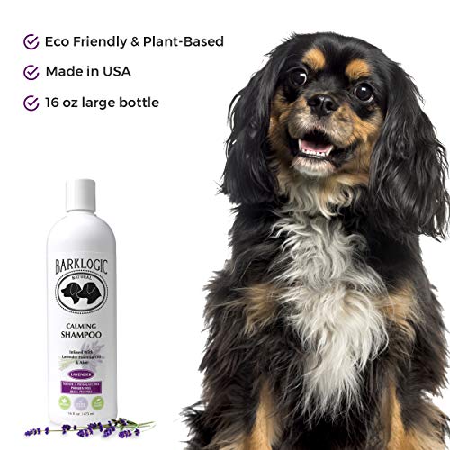 BarkLogic Calming Lavender Dog Shampoo and Conditioner Set - 16 oz - with Natural Essential Oils, Hypoallergenic, Plant-Based Gentle Formula for Sensitive Skin