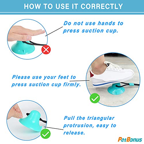 PetBonus Dog Chew Toys, Pet Rope Toys with 2 Suction Cups, Dog Puzzle and Teeth Cleaning Toy, Interactive Treat Food Dispensing Toys for Small Medium Large Dogs (Turquoise, Red)