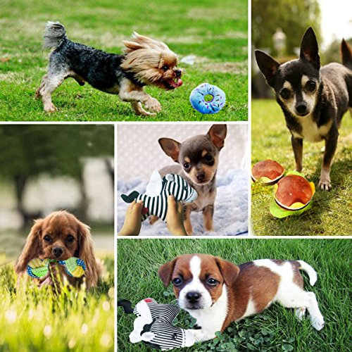 BUIBIIU Dog Toys, Dog Teething Toys Best Puppy Chew Toys Dog Chew Toys Squeaky Toys Balls