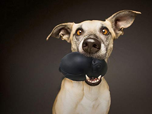 Penguin Durable Dog Chew Toys, Freezable Stuffable Puppy Treat Dispensing Chew Toys, Natural Rubber Interactive Puzzle Game Dog Toys for Small Medium Large dogs, Fun to Chase and Fetch, Beef Flavor