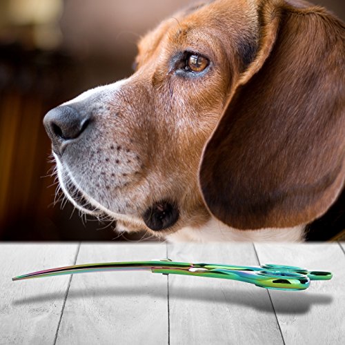 Premium, Sharp, Durable Dog Grooming Scissors for Groomers and Pet Owners: Trusted by Groomers Worldwide for Unmatched Precision and Quality: Unleash the Artistry of Grooming with our Rainbow Scissors