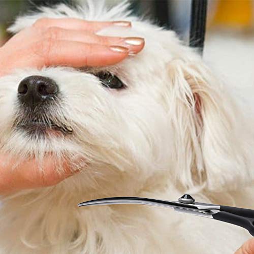 Moontay 6.5inch Curved Dogs Grooming Scissors Professional Dog Grooming Scissor for Dogs, Cats and Pets Scissors Curved Shears 440C Japanese Stainless Steel Blade (Black)