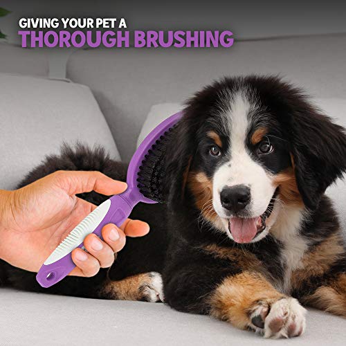 Soft Bristle Dog Brush for Short Haired Cats Or Dogs - Firm Bristles to Remove Dust, Dirt, and Loose Fur - Hook and Rubber Handle