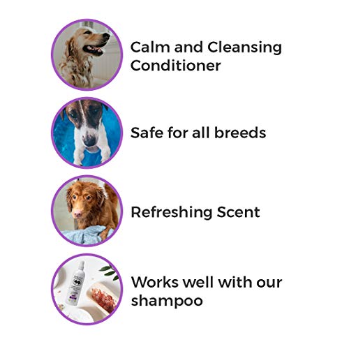 BarkLogic Calming Lavender Dog Shampoo and Conditioner Set - 16 oz - with Natural Essential Oils, Hypoallergenic, Plant-Based Gentle Formula for Sensitive Skin