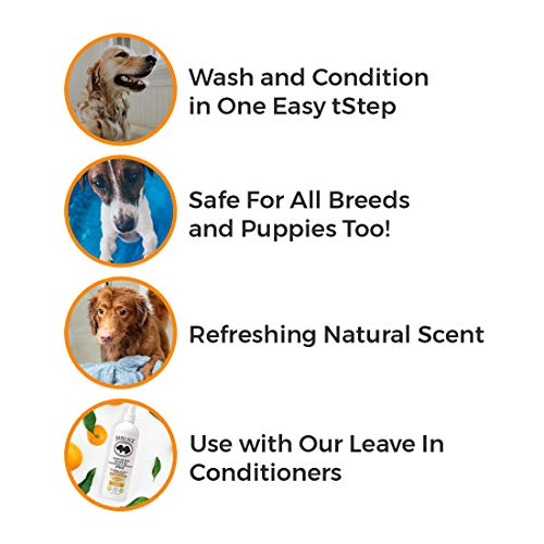 BarkLogic Plant Based 2 in 1 Dog Shampoo and Conditioner, Tangerine, 16 fl oz - No Parabens, No Phthalates, No Sulfates, No DEA & PEG, Hypoallergenic