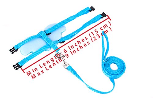 Bearded Dragon Leash and Harness - Soft Angel Wings- Ferret Harness for Bearded Dragon Reptile Lizard Ferret Hedgehog Large Chipmunk Squirrel Degu Rat and Gecko Safe Easy Walking