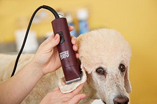 Andis UltraEdge Super 2-Speed Detachable Blade Clipper, Professional Animal/Dog Grooming, Frustration Free Packaging, AGC2 (22685)