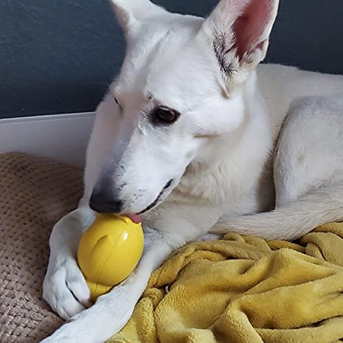 Penguin Durable Dog Chew Toys, Freezable Stuffable Puppy Treat Dispensing Chew Toys, Natural Rubber Interactive Puzzle Game Dog Toys for Small Medium Large dogs, Fun to Chase and Fetch, Beef Flavor