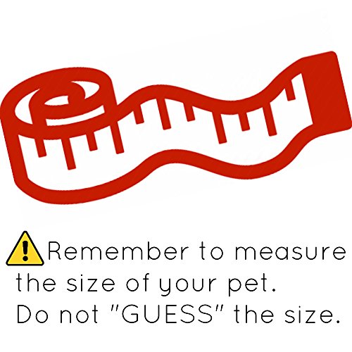 Bearded Dragon Leash and Harness - Soft Angel Wings- Ferret Harness for Bearded Dragon Reptile Lizard Ferret Hedgehog Large Chipmunk Squirrel Degu Rat and Gecko Safe Easy Walking