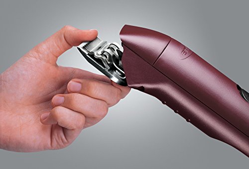 Andis UltraEdge Super 2-Speed Detachable Blade Clipper, Professional Animal/Dog Grooming, Frustration Free Packaging, AGC2 (22685)