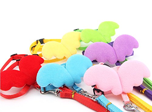 Bearded Dragon Leash and Harness - Soft Angel Wings- Ferret Harness for Bearded Dragon Reptile Lizard Ferret Hedgehog Large Chipmunk Squirrel Degu Rat and Gecko Safe Easy Walking