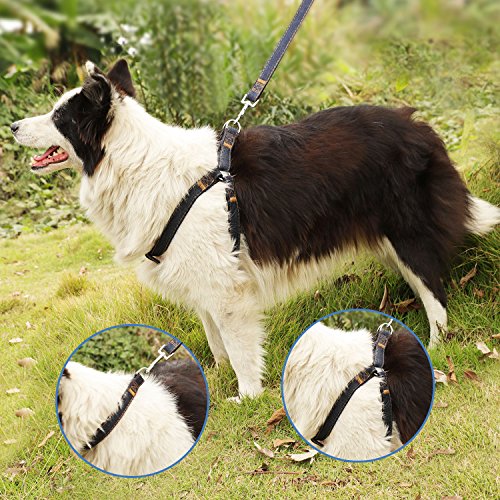Bark Lover Dog Harness Leash and Collar Matching Sets for Small Puppy Medium Large Dogs Pets, Heavy Duty Nylon with Denim Design, Perfect Accessories for Walking Training Your Dog(S,Black)