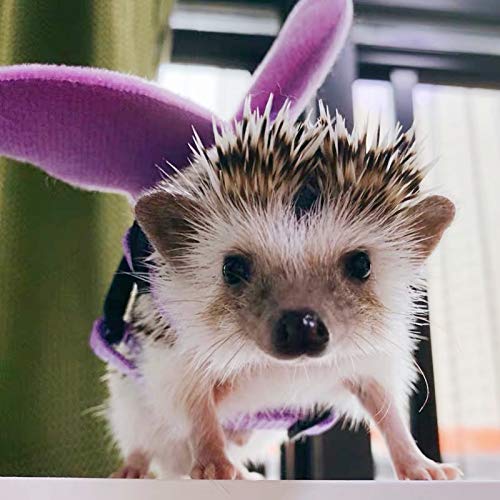 Bearded Dragon Leash and Harness - Soft Angel Wings- Ferret Harness for Bearded Dragon Reptile Lizard Ferret Hedgehog Large Chipmunk Squirrel Degu Rat and Gecko Safe Easy Walking