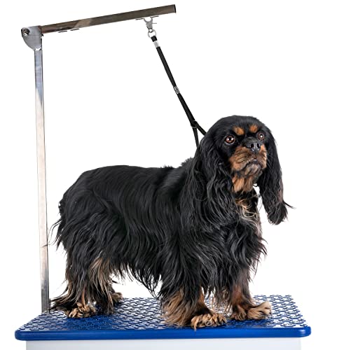 Pet Dog Grooming Loop, Nylon Restraint Noose Adjustable Fixed Dog Cat Safety Tether Straps Dog Grooming Supplies for Pet Grooming Table Bathtub - 6 Pack / 6 Color