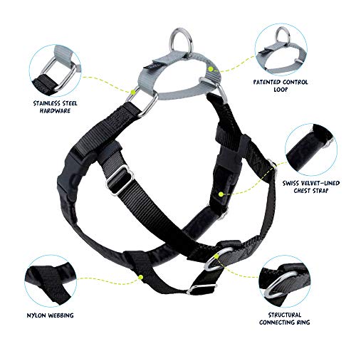 2 Hounds Design Freedom No Pull Dog Harness | Adjustable Gentle Comfortable Control for Easy Dog Walking |for Small Medium and Large Dogs | Made in USA | Leash Included | 1" MD Black