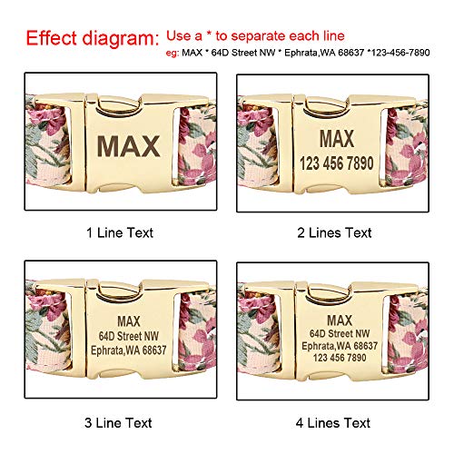 Beirui Soft Floral ID Dog Collars with Name Plate,Beautiful Flower Print Personalized Puppy Dog Collar and 5FT Leash Set for Small Medium Large Dogs, M(3/4" Wide,Neck fit 12-19.5")