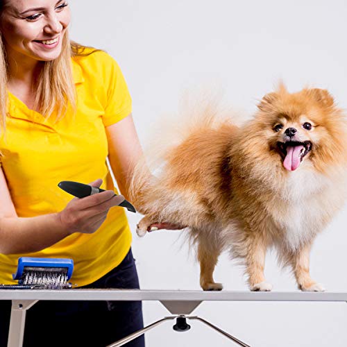 Dog Clippers, Cordless Cat and Small Dogs Clipper, Low Noise Electric Pet Trimmer, Dog Grooming Clippers for Trimming The Hair Around Paws, Eyes, Ears, Face, Rump