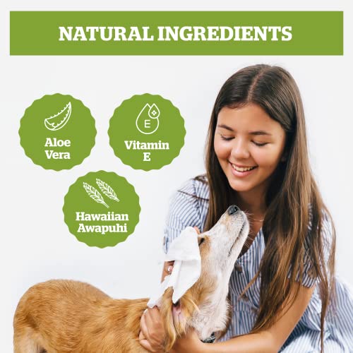 Pogi's Grooming Wipes - 100 Hypoallergenic Pet Wipes for Dogs & Cats - Plant-Based, Green Tea Leaf Scented, Deodorizing Dog Wipes