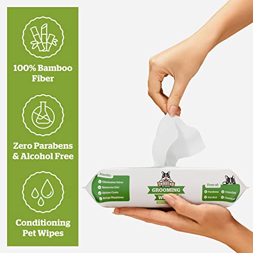 Pogi's Grooming Wipes - 100 Hypoallergenic Pet Wipes for Dogs & Cats - Plant-Based, Green Tea Leaf Scented, Deodorizing Dog Wipes