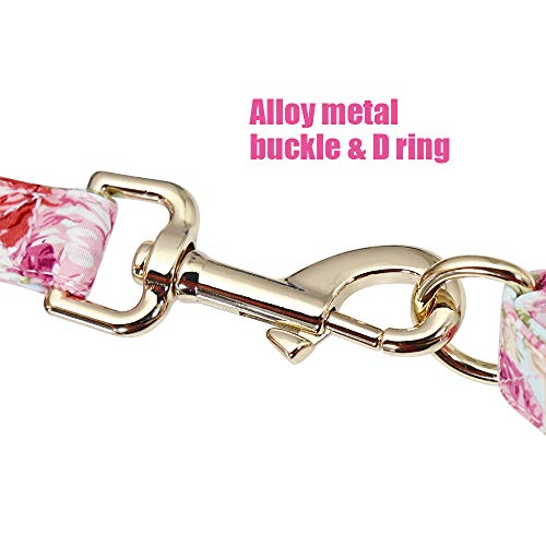 Beirui Soft Floral ID Dog Collars with Name Plate,Beautiful Flower Print Personalized Puppy Dog Collar and 5FT Leash Set for Small Medium Large Dogs, S(5/8" Wide,Neck fit 10-15.5")