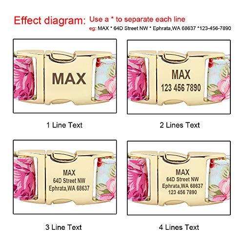 Beirui Soft Floral ID Dog Collars with Name Plate,Beautiful Flower Print Personalized Puppy Dog Collar and 5FT Leash Set for Small Medium Large Dogs, M(3/4" Wide,Neck fit 12-19.5")